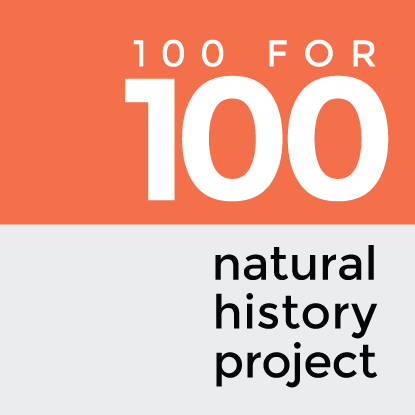 100_for_100_banner-based-logo