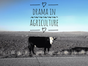 Drama-In-Agriculture-art_thumb