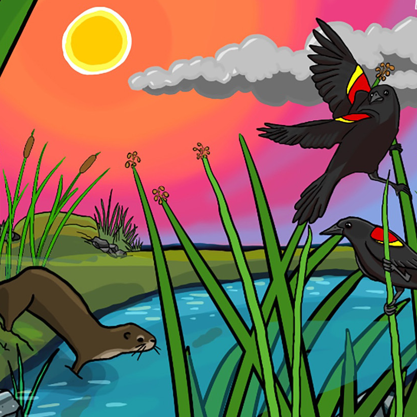 Illustration of a Yolo Bioregion marsh with tule reeds, blue water, smoke, red-winged blackbirds, and an otter, featured in Good Fire, Living Water: The Gifts of a Marsh Economy at Davis Arts Center.